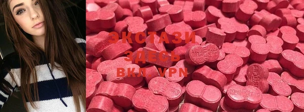 шишки Покачи